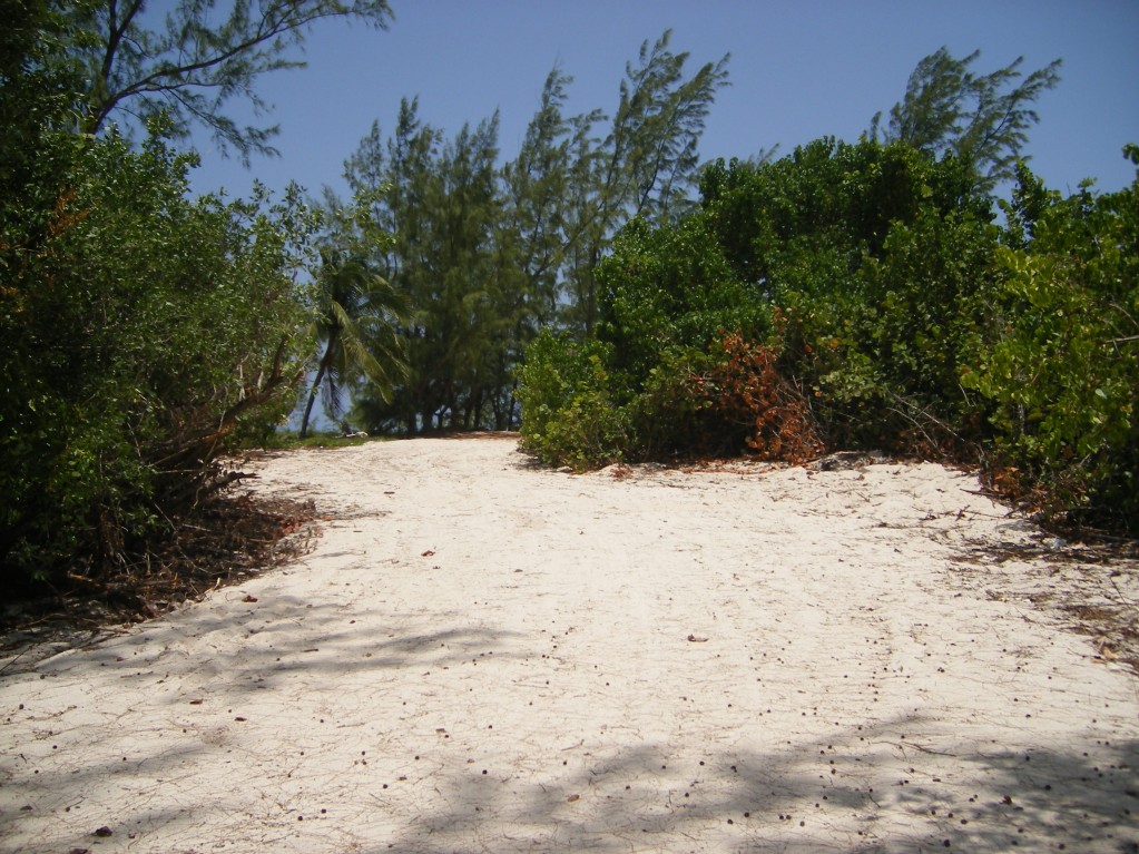 Tim’s Beach - Image 2
