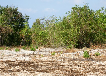 99A. Cayman Brac Central - Image 4