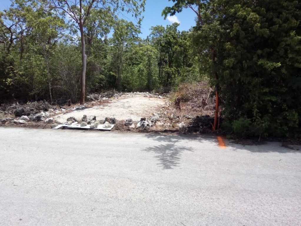 Parrot Estates ~ Cayman Brac - Image 1