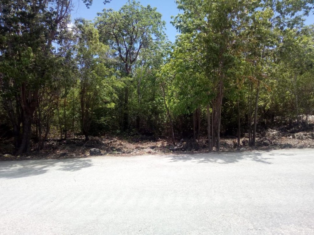 Parrot Estates ~ Cayman Brac - Image 3