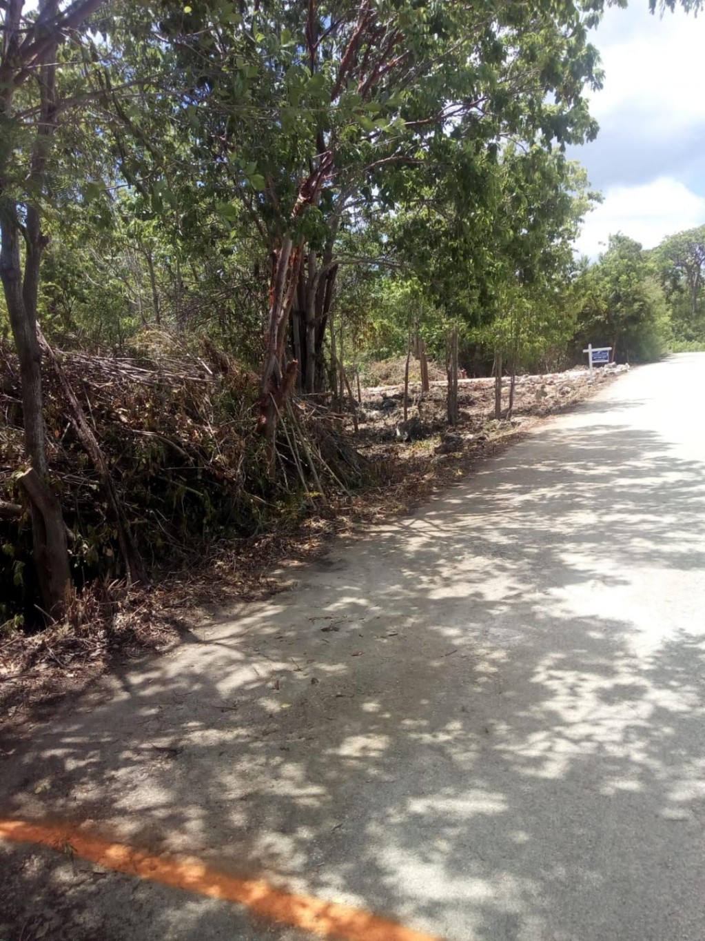 Parrot Estates ~ Cayman Brac - Image 4