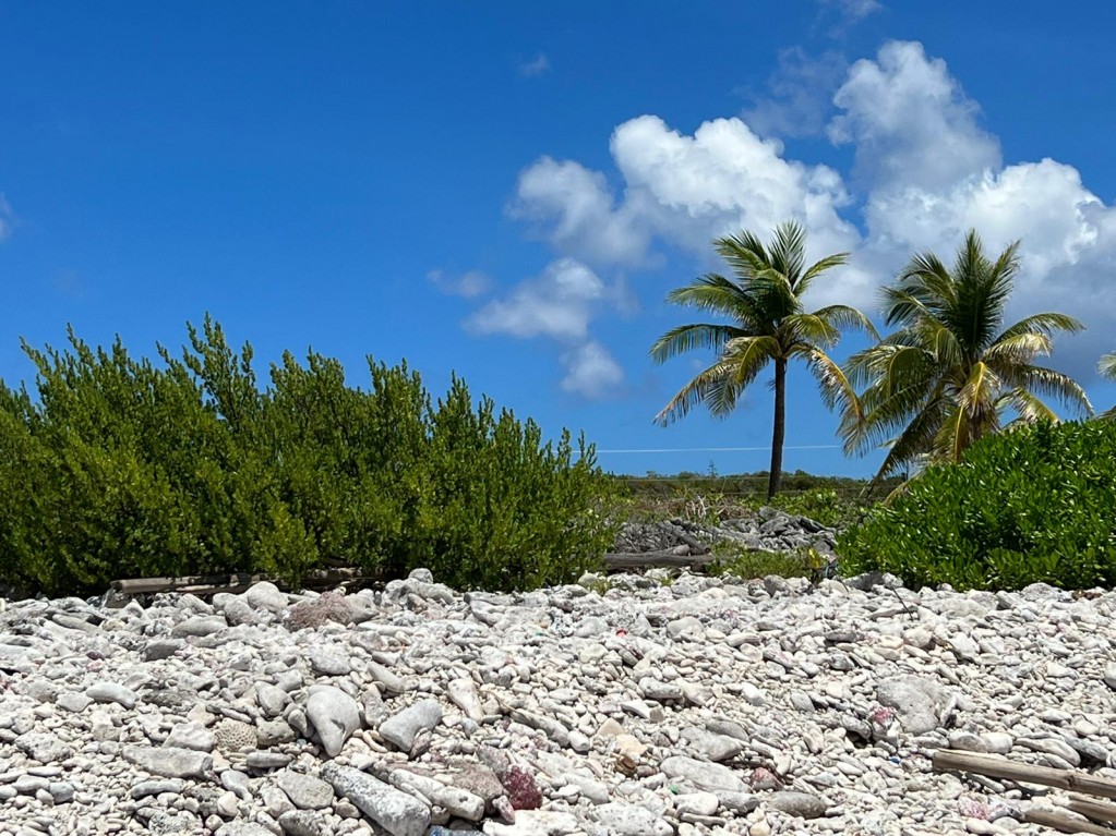 South Side Coastal ~ Cayman Brac - Image 1