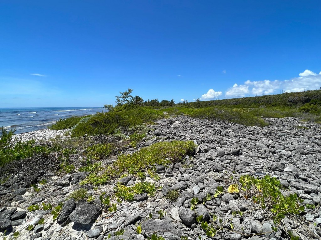 South Side Coastal ~ Cayman Brac - Image 2