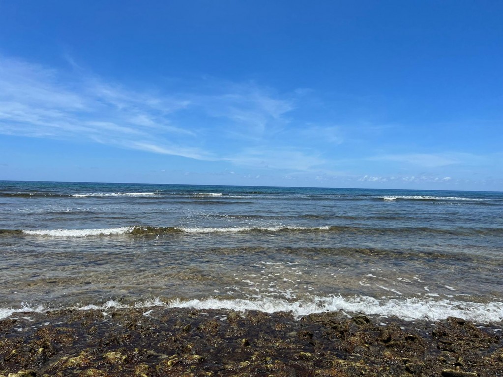 South Side Coastal ~ Cayman Brac - Image 3