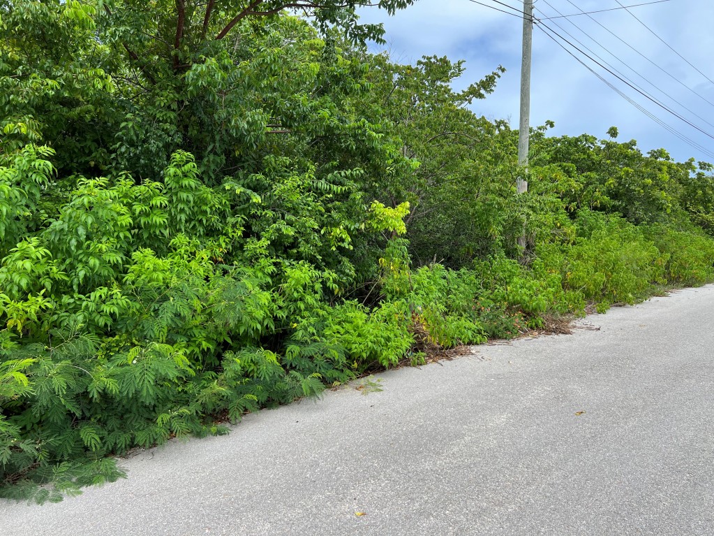 Reduced ~ Cayman Brac 9 Lots Subdivision CI$34,000 Each - Image 1