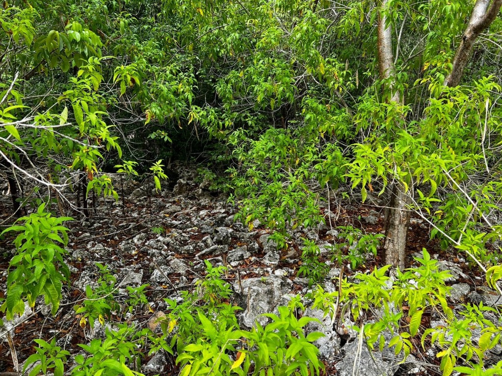 Reduced ~ Cayman Brac 9 Lots Subdivision CI$34,000 Each - Image 6