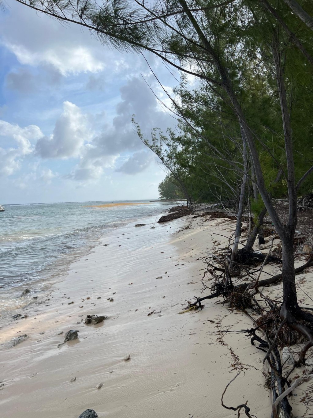 Southside Waterfront Property ~ Cayman Brac - Image 4