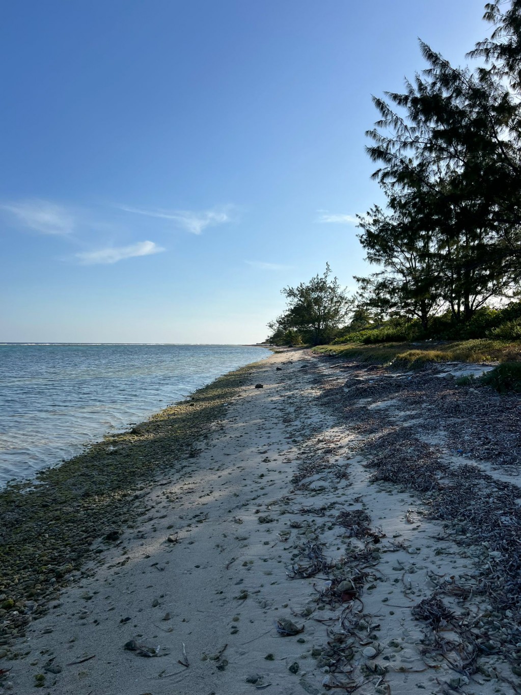 Little Cayman ~ Waterfront Property - Image 2
