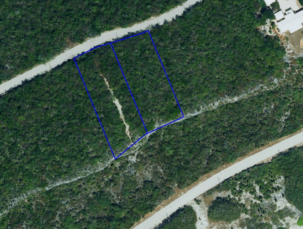 South Side Bluff Edge ~ Cayman Brac