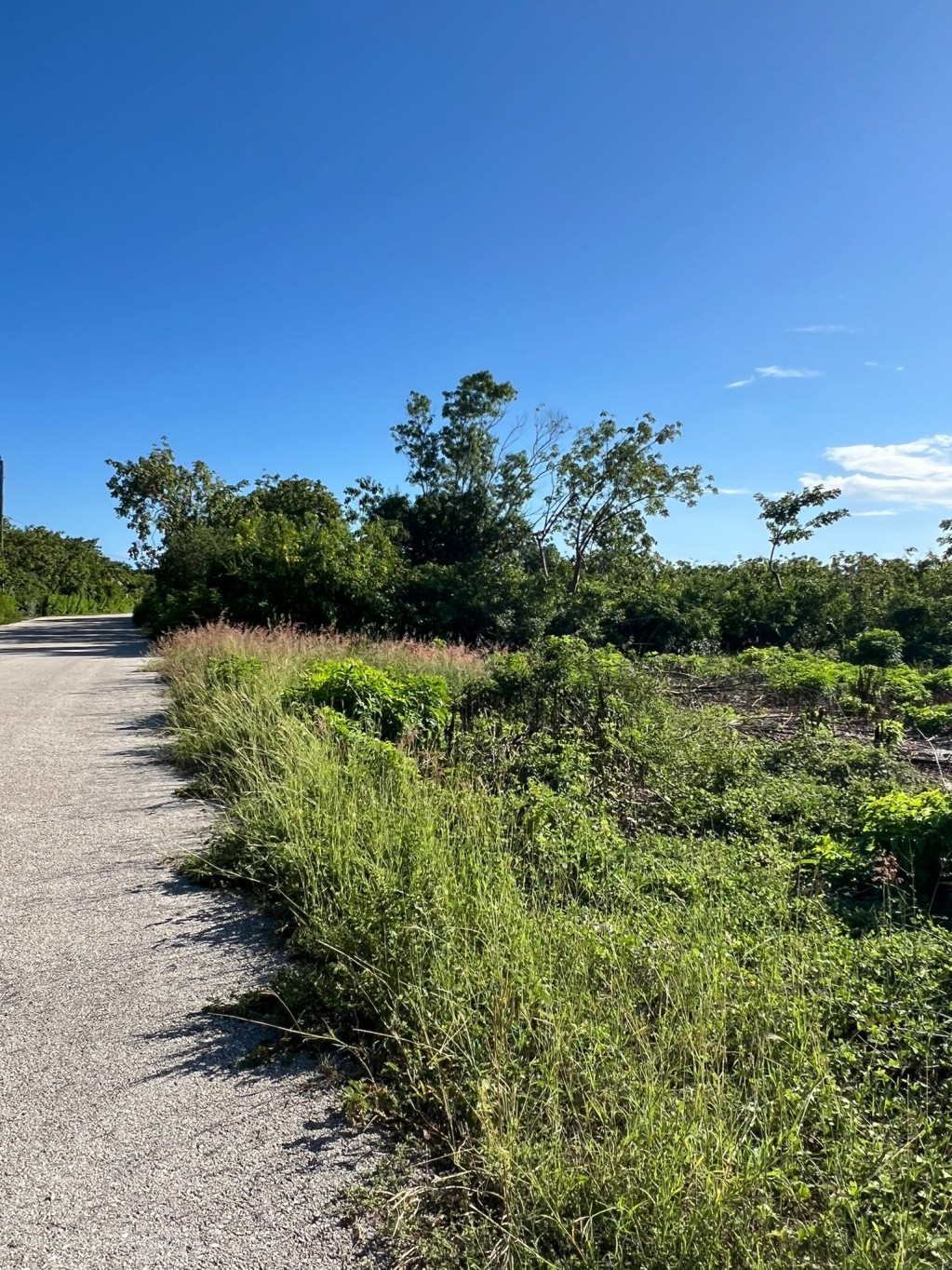 Bluff lot ~ Cayman Brac - Image 2