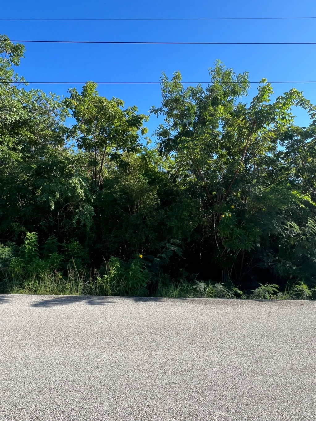 Bluff Edge South Side ~ Cayman Brac - Image 2