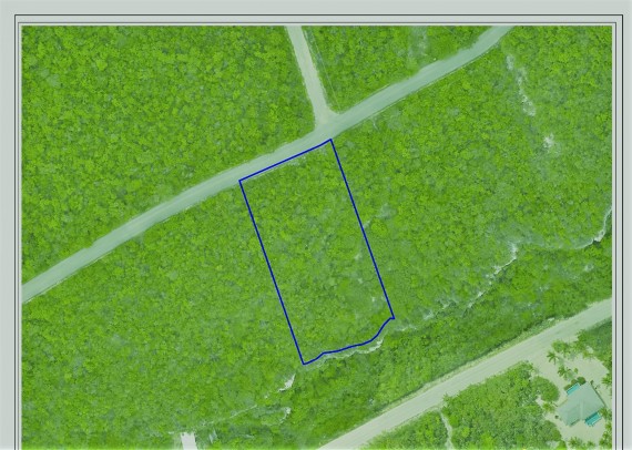 Cayman Brac Central Bluff Edge