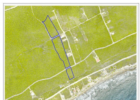 Bluff Edge ~ Cayman Brac