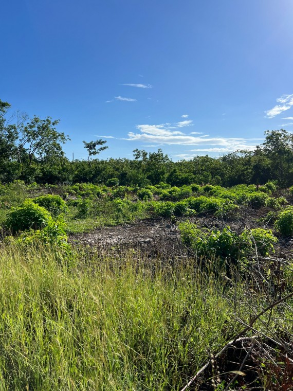 Bluff Lot ~ Cayman Brac