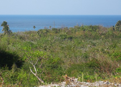 99A. Cayman Brac Central