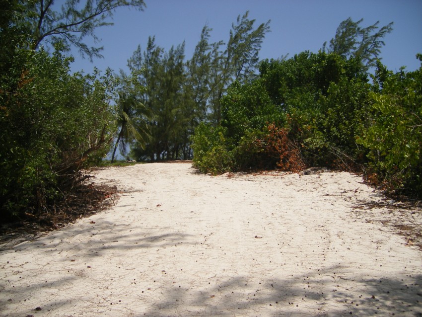 Tim’s Beach - Image 2