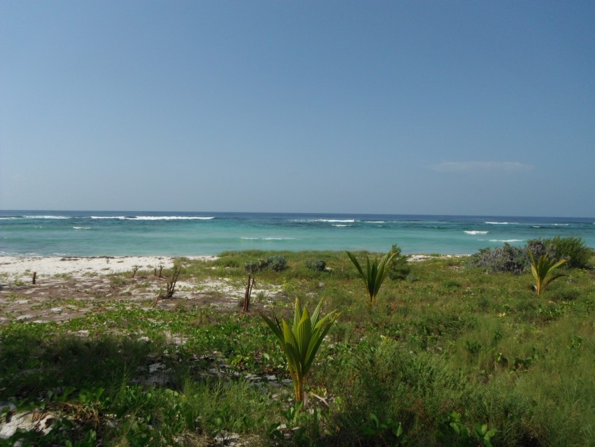 Tim’s Beach - Image 3