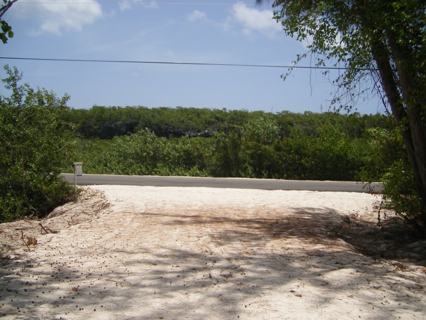 Tim’s Beach - Image 4