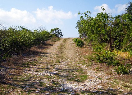 99A. Cayman Brac Central - Image 3