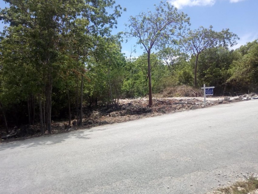 Parrot Estates ~ Cayman Brac - Image 1