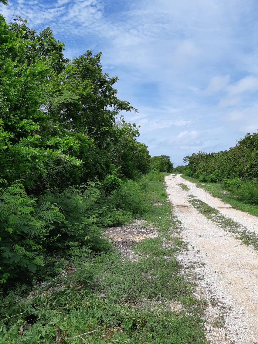 Bluff Edge Southside Lot 1 viewing lisitng Cayman Brac and Little