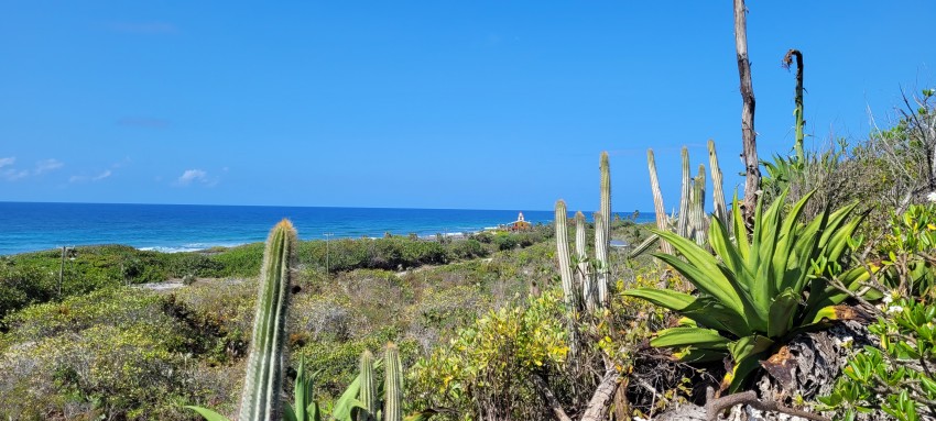 Bluff Edge Cayman Brac Central 100045 - Image 2