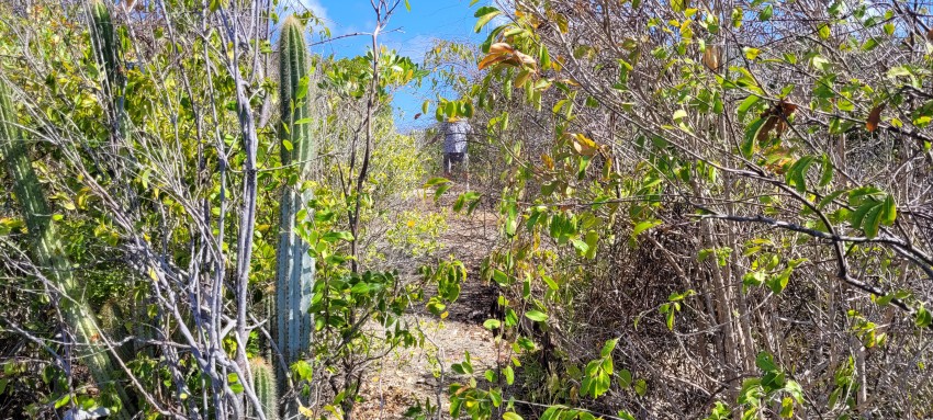 Bluff Edge Cayman Brac Central 100045 - Image 1