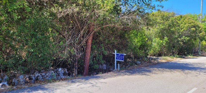 Bluff Edge Cayman Brac Central 100045 - Image 3