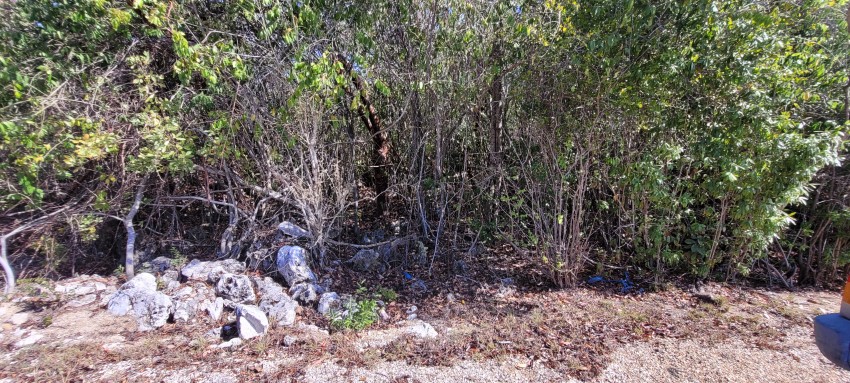 Bluff Edge Cayman Brac 100047 - Image 4