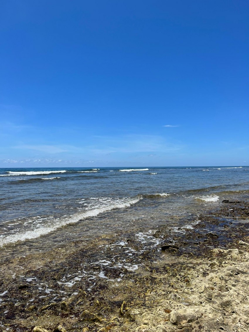 South Side Coastal ~ Cayman Brac - Image 4