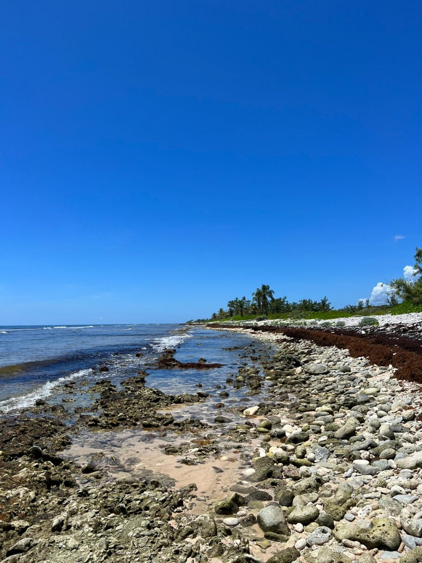 South Side Coastal ~ Cayman Brac - Image 5