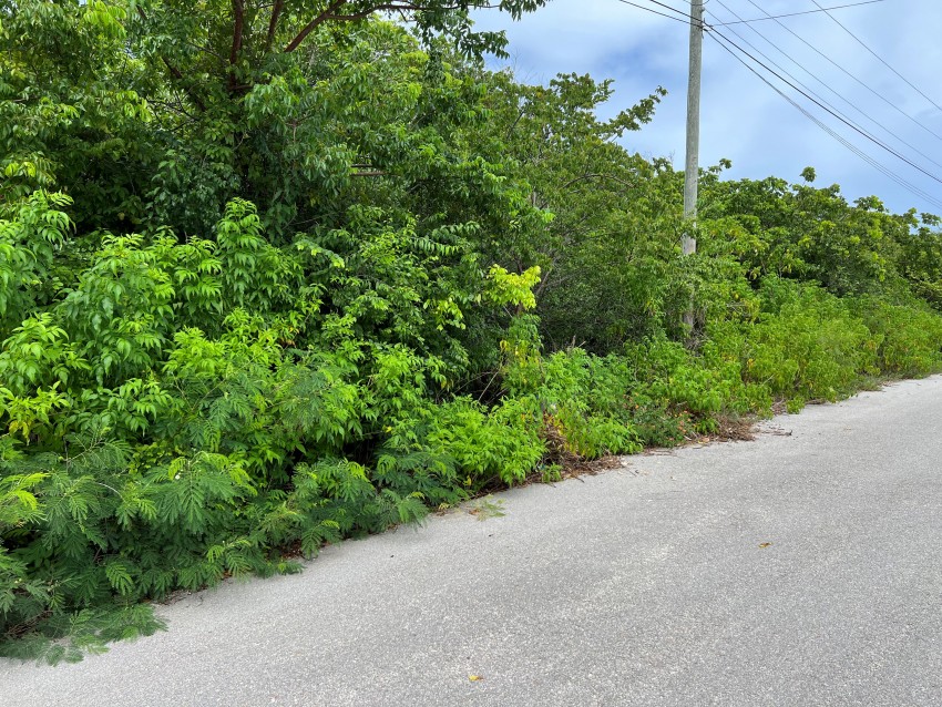 Reduced ~ Cayman Brac 9 Lots Subdivision CI$34,000 Each - Image 1