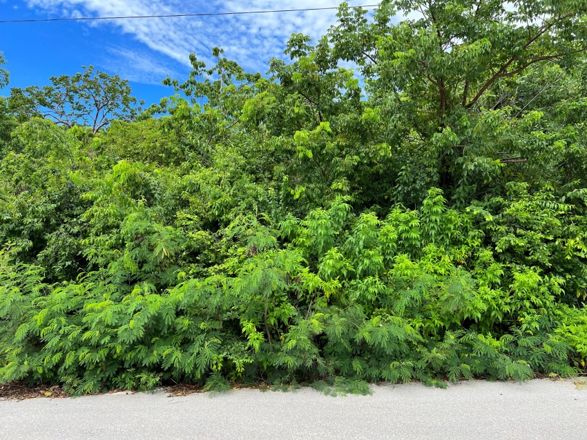 Reduced ~ Cayman Brac 9 Lots Subdivision CI$34,000 Each - Image 2