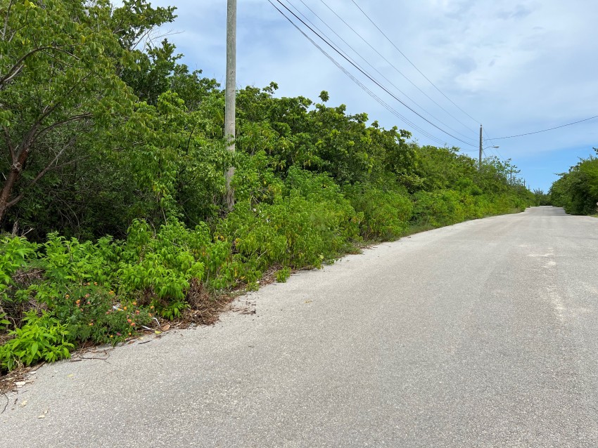 Reduced ~ Cayman Brac 9 Lots Subdivision CI$34,000 Each - Image 3