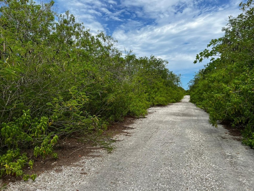Reduced ~ Cayman Brac 9 Lots Subdivision CI$34,000 Each - Image 4