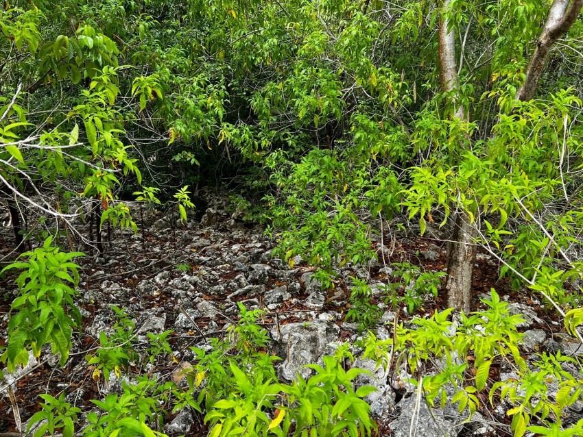 Reduced ~ Cayman Brac 9 Lots Subdivision CI$34,000 Each - Image 6