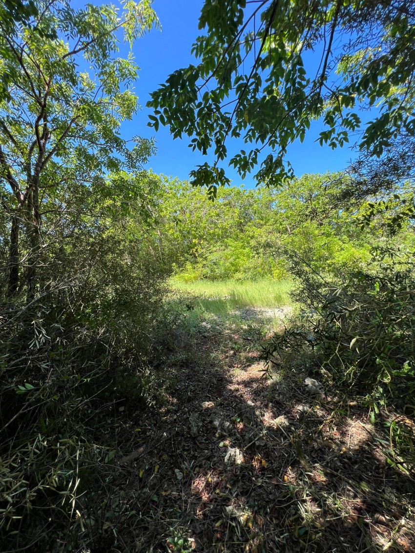 Bluff Edge Cayman Brac viewing lisitng Cayman Brac and Little