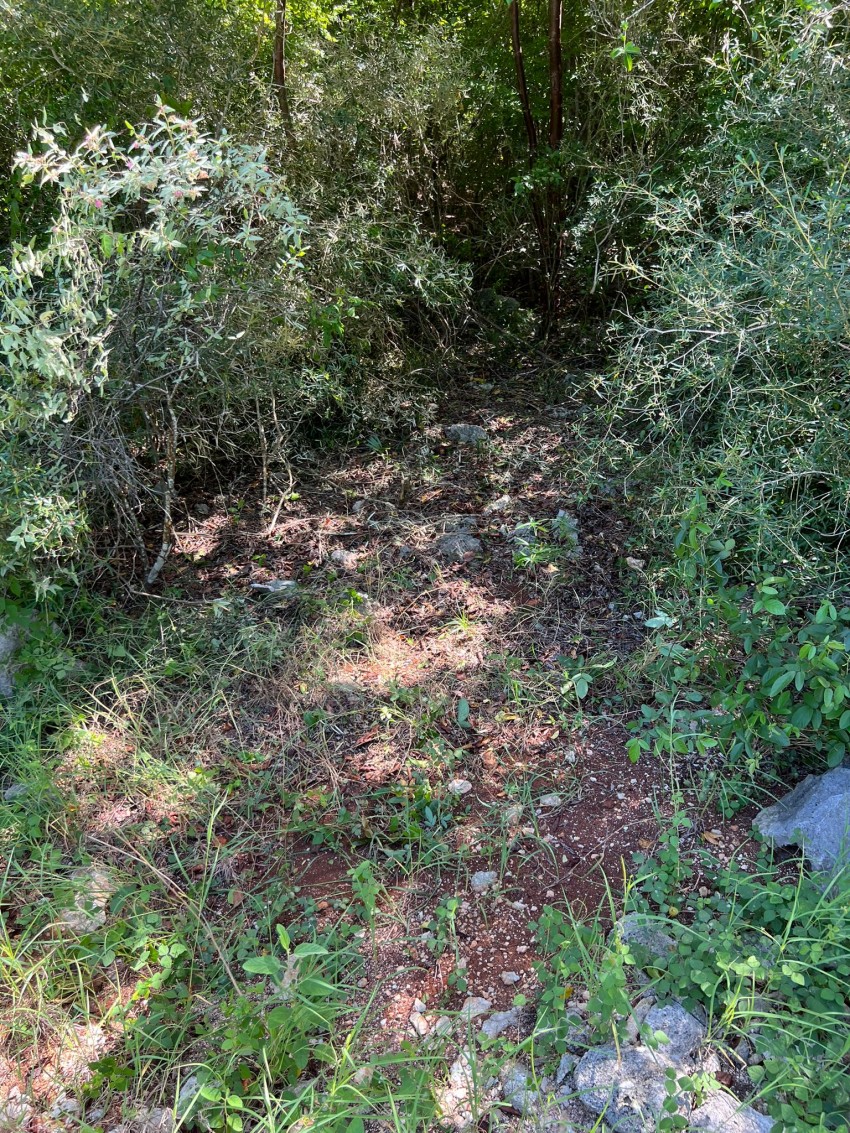 Bluff Edge Cayman Brac viewing lisitng Cayman Brac and Little