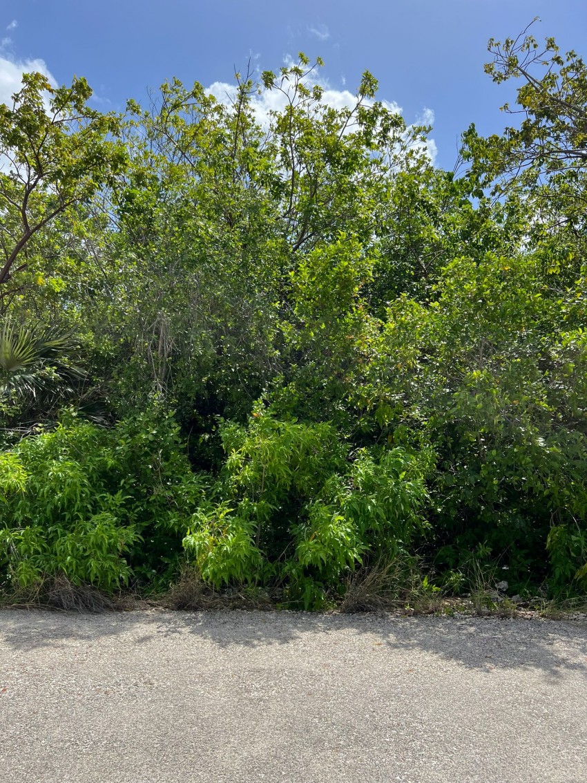Bluff Edge ~ Cayman Brac - Image 4