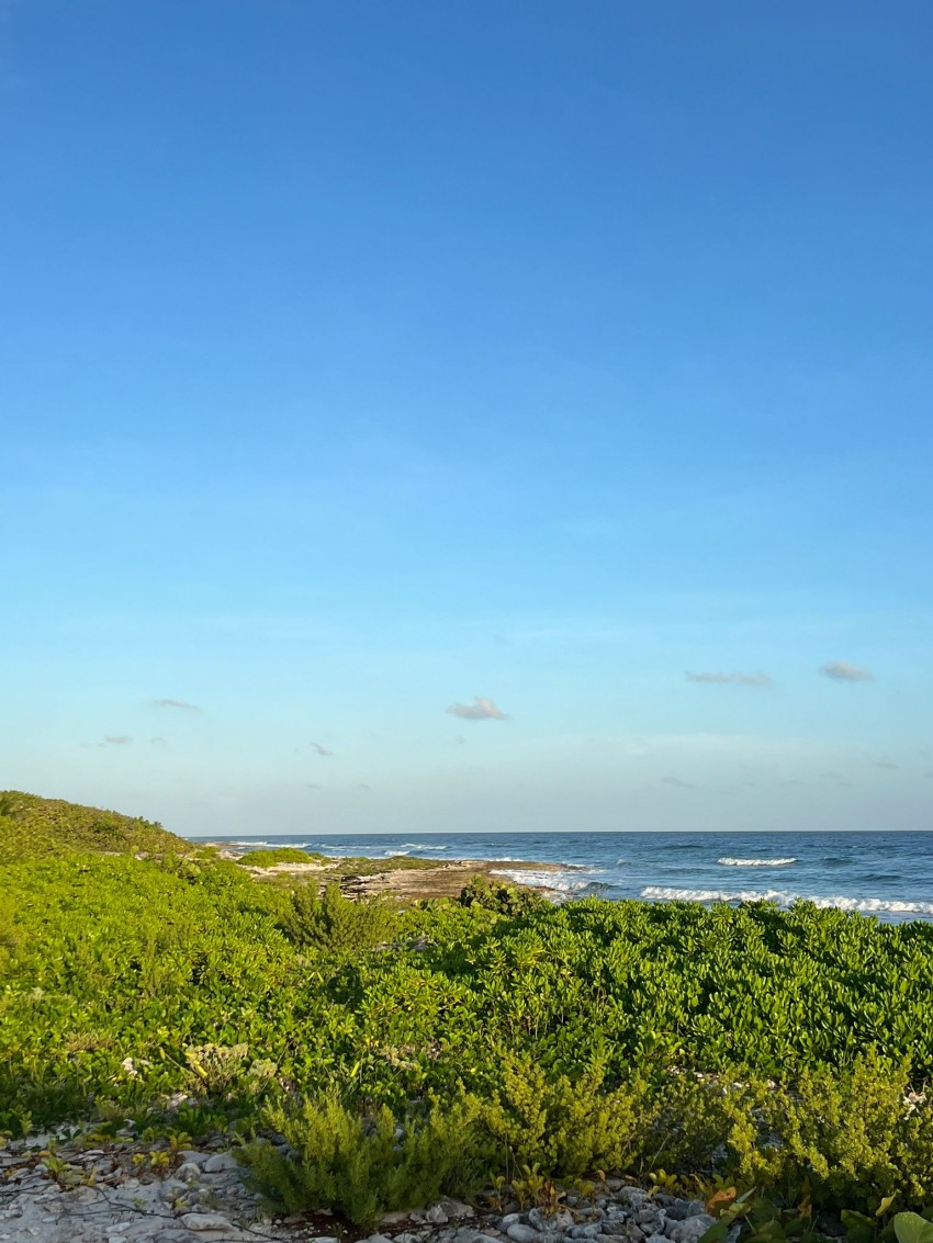 South Side Waterfront Lot for sale. viewing lisitng Cayman Brac and