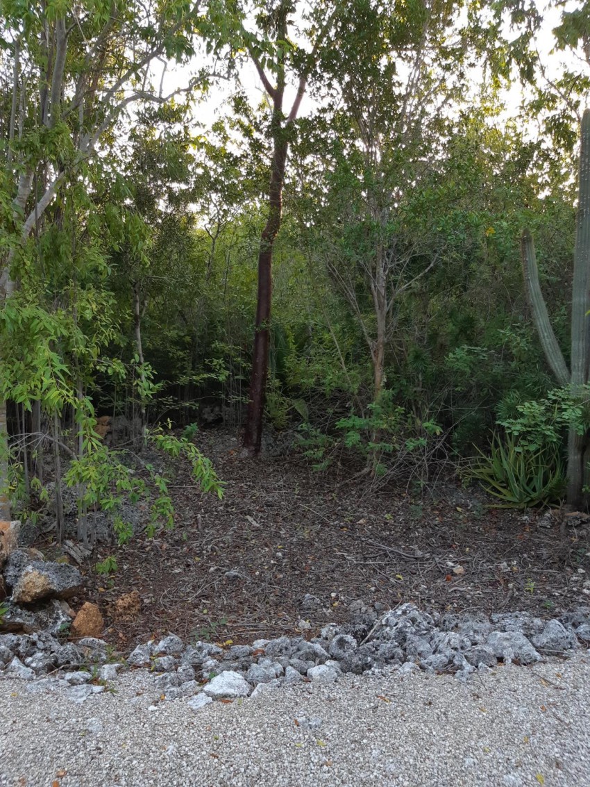 4 Bluff Edge Lots for Sale Cayman Brac viewing lisitng Cayman
