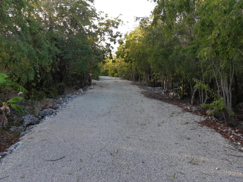 4 Bluff Edge Lots for Sale ~ Cayman Brac - Image 3