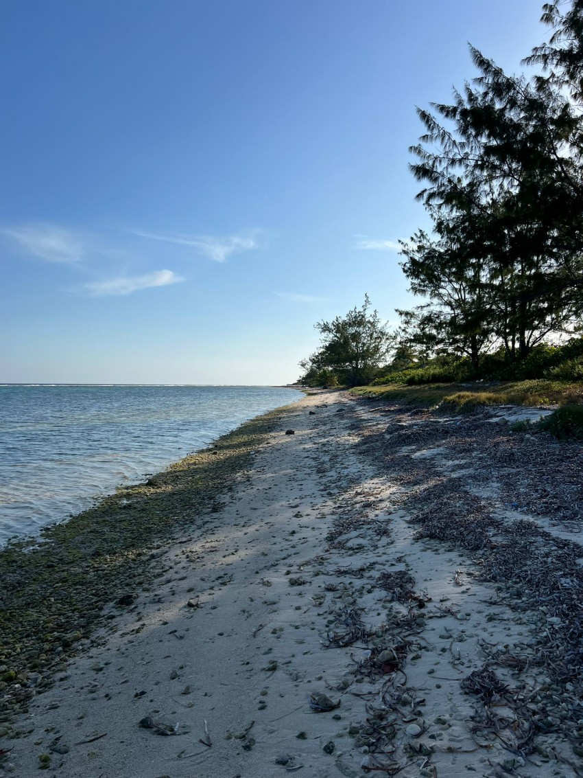 Little Cayman ~ Waterfront Property - Image 2