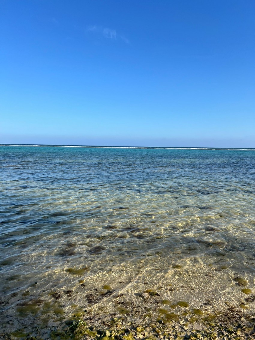 Little Cayman ~ Waterfront Property - Image 3