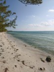 Little Cayman ~ Waterfront Property - Image 5