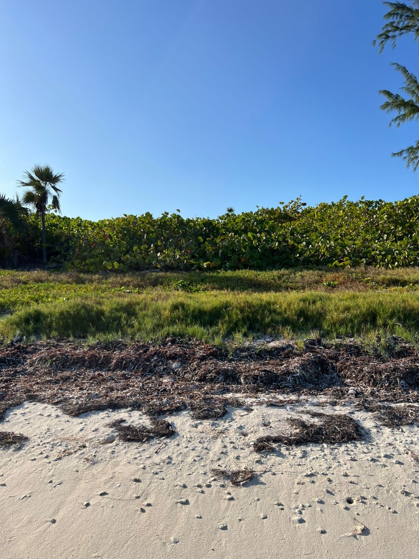 Little Cayman South Shore Parcel - Image 6