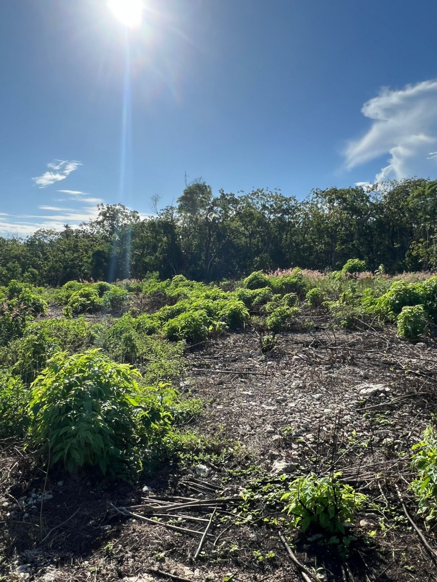 Bluff lot ~ Cayman Brac - Image 4
