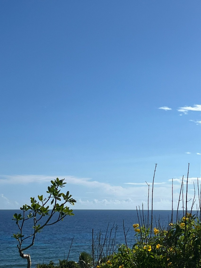 Bluff Edge South Side ~ Cayman Brac - Image 1