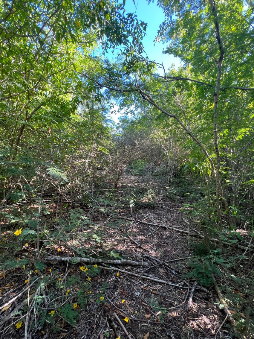 Bluff Edge South Side ~ Cayman Brac - Image 3