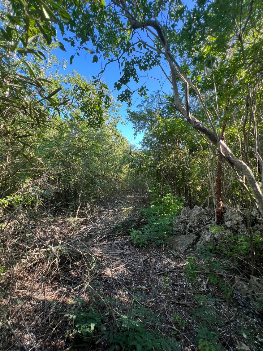 Bluff Edge South Side ~ Cayman Brac - Image 5